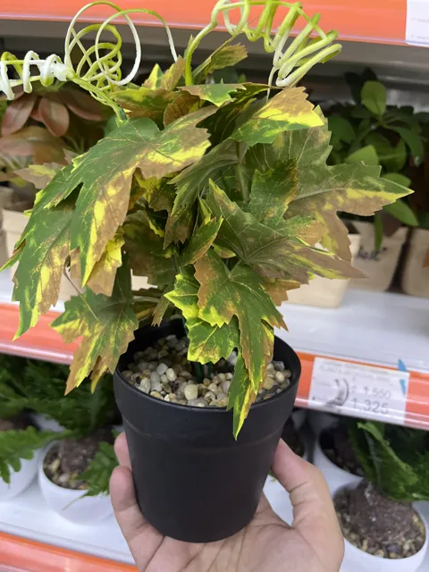 Planta Artificial XY3 · foto 1