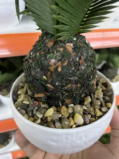 Miniatura 2 de Planta artificial ZL