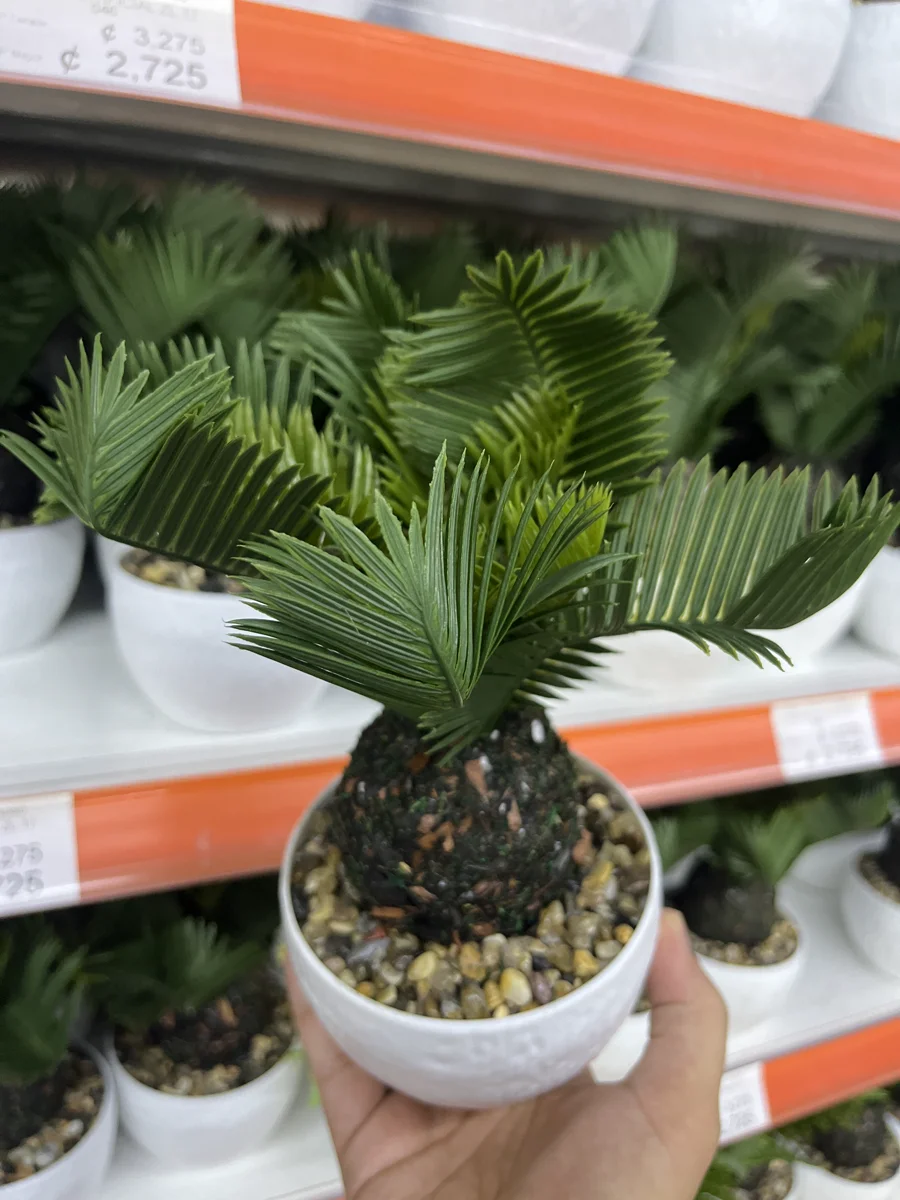 Planta artificial ZL